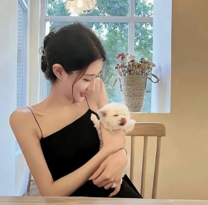 如何举报主播个人抖音号，维权不迷茫，三步教你有效举报违规主播的抖音账号