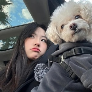 ks 举报，这里是一个文章标题和对应的内容，字数控制在450字左右，主要围绕解决问题的实用建议展开